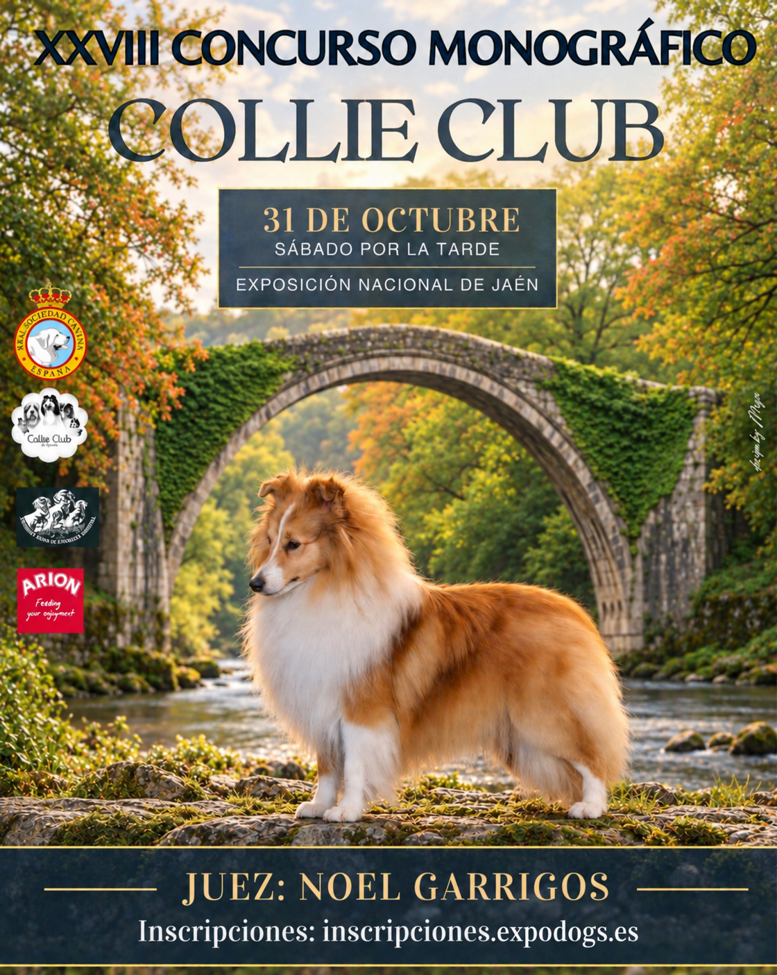 Ver cartel de XXVIII MONOGRAFICO COLLIE CLUB Nacional